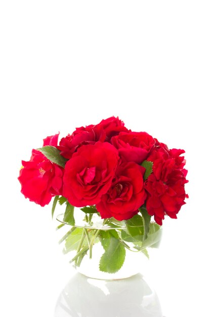 Bouquet de roses rouges