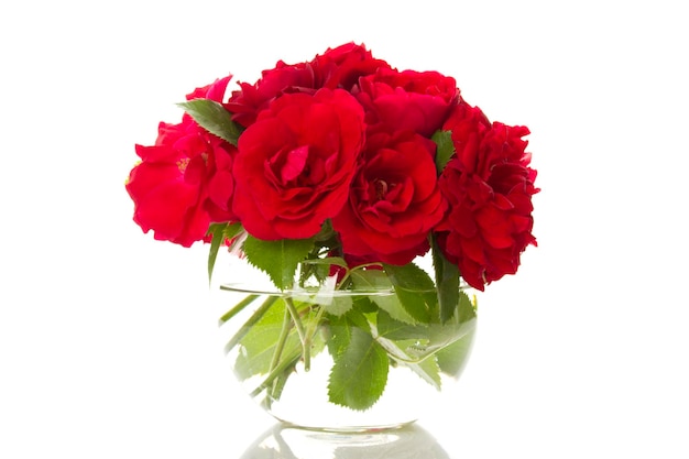 Bouquet de roses rouges