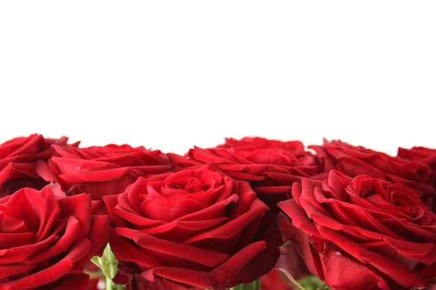 Photo bouquet de roses rouges