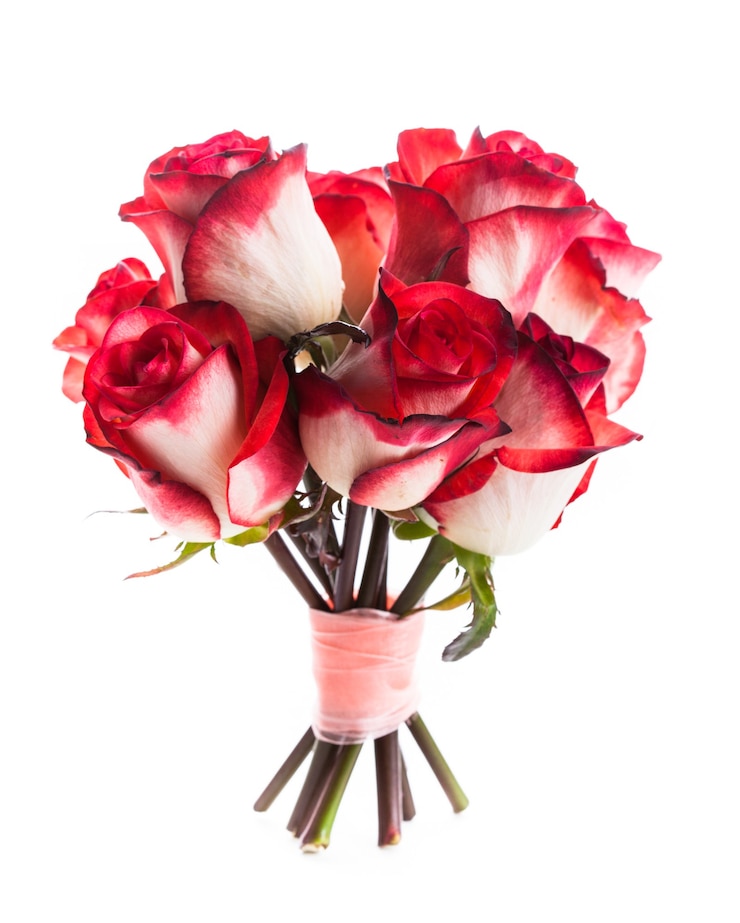 Photo bouquet de roses avec ruban isolé sur fond blanc