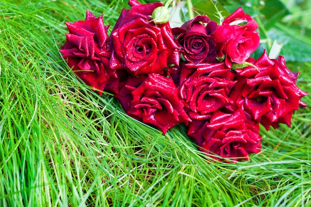 Photo bouquet de roses scarlett allongé sur l'herbe verte