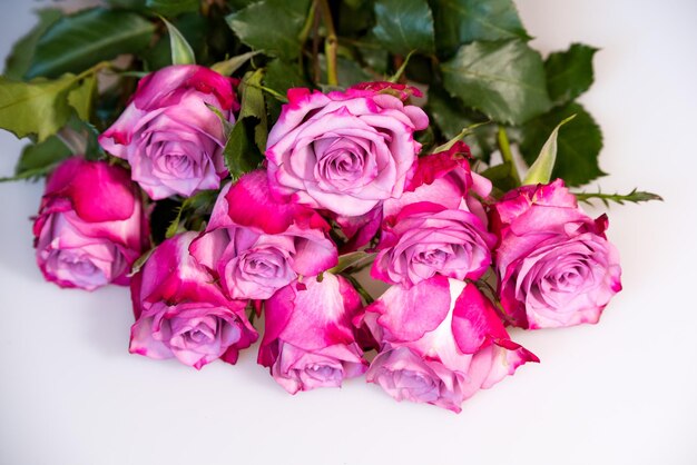 Bouquet de roses violettes sur fond blanc fond de fleur rose fête des mères mariage et anniversaire concept espace copie