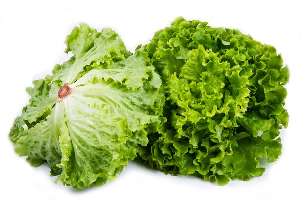 bouquet de salade verte fraîche isolée sur blanc