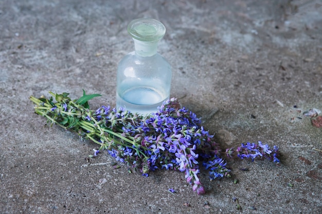 Photo bouquet salvia pratensis, clary prairie ou sauge des prés fleurs violettes près de bouteille de médicament