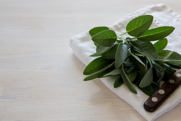 Un bouquet de sauge fraîche sur une table en bois clair. Mise au point sélective