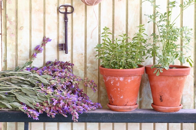 Bouquet de sauge et pots aux herbes devant un vieux mur