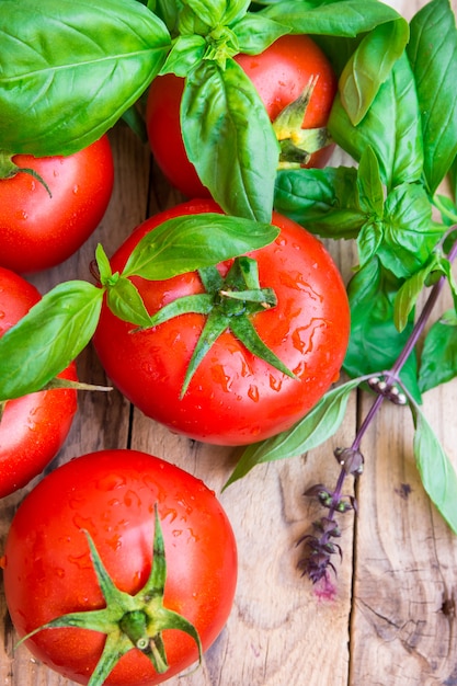 Bouquet de tomates organiques colorées mûres fraîches avec des gouttes d&#39;eau