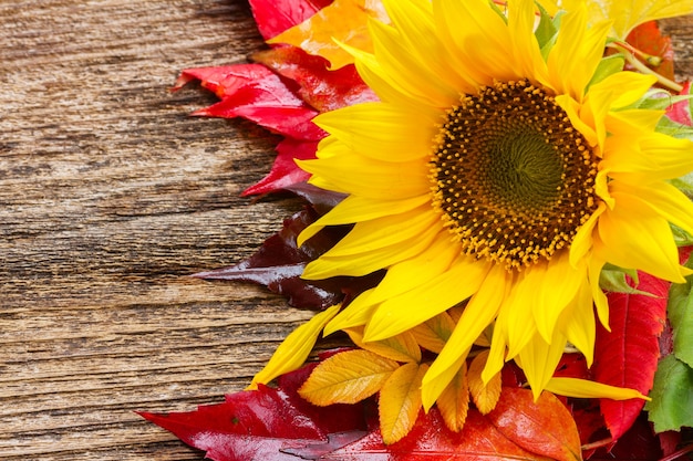 Bouquet de tournesol jaune et de feuilles d'automne