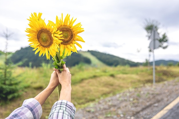 Bouquet de tournesols dans des mains féminines sur fond de nature