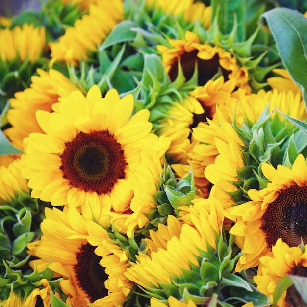 Bouquet de tournesols décoratifs