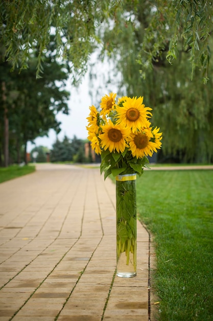 Bouquet de tournesols