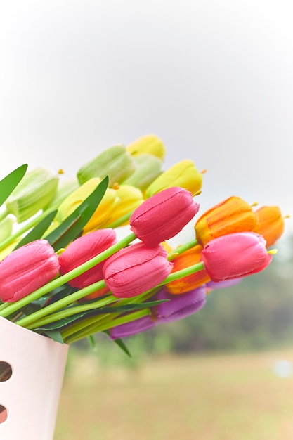 bouquet de tulipes au printemps