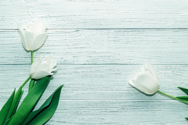 Bouquet de tulipes blanches sur un espace de fond blanc en bois pour le texte