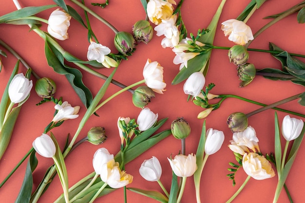 Bouquet de tulipes blanches sur fond rouge à plat