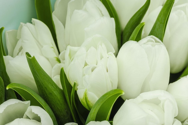 Un bouquet de tulipes blanches sur un fond vert pastel fleurissant concept festif