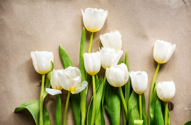 Un bouquet de tulipes blanches fraîches