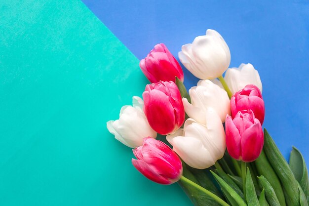 Bouquet de tulipes blanches et roses sur fond couleur espace de copie pour le texte