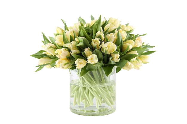 Bouquet de tulipes blanches