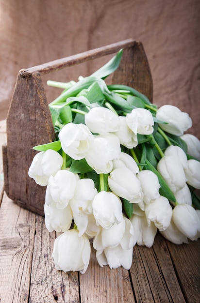 bouquet de tulipes blanches