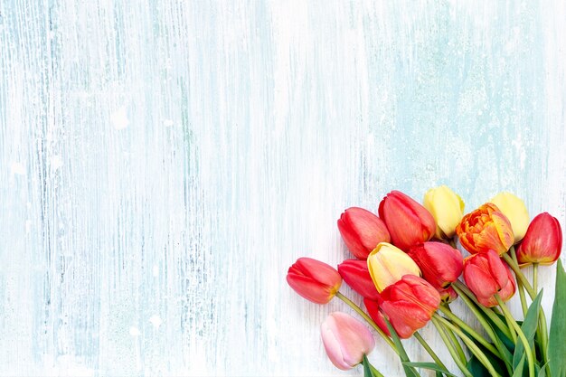 Bouquet de tulipes colorées sur bois bleu clair. Vue de dessus, copiez l'espace. Anniversaire, fête des mères