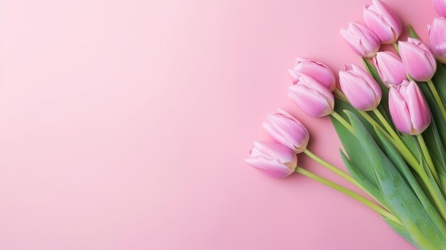 Bouquet de tulipes colorées Fleurs festives sur fond rose Pâques Fête des mères Journée de la femme