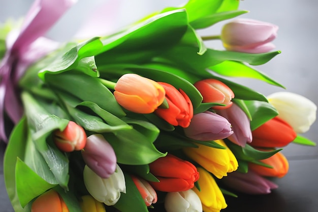bouquet de tulipes colorées / fleurs de printemps, belles fleurs lumineuses, concept de cadeau de printemps