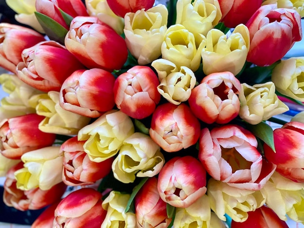 Un bouquet de tulipes est dans un vase avec le mot tulipes dessus.