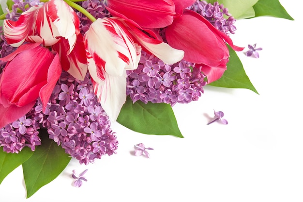 Bouquet de tulipes et de fleurs lilas sur fond blanc