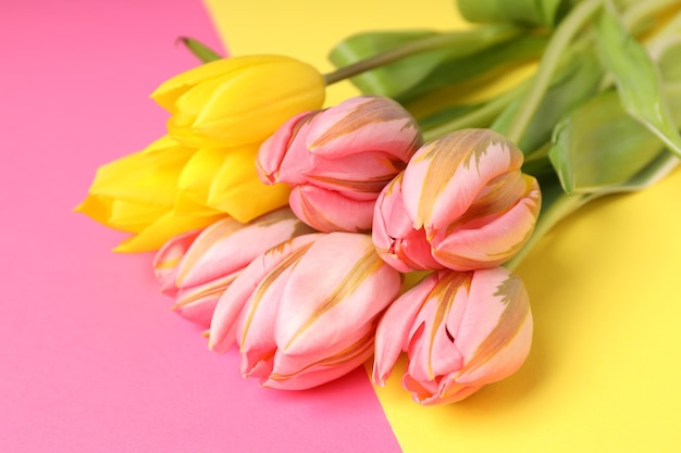 Bouquet de tulipes sur fond bicolore, gros plan