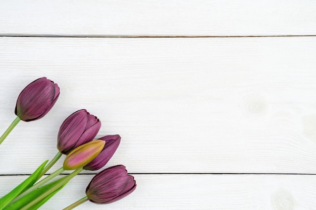 Bouquet de tulipes sur un fond en bois blanc. Vue de dessus, avec espace pour copier.