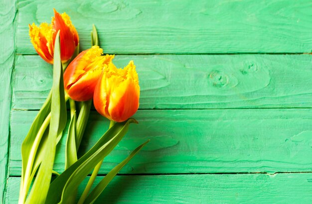 Un bouquet de tulipes sur un fond de bois vert