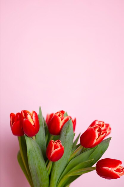 bouquet de tulipes sur un fond de couleur rose espace pour le texte carte postale maison de vacances Womens Day