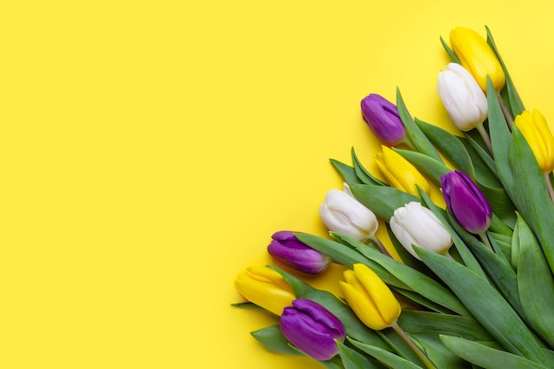 bouquet de tulipes sur fond jaune