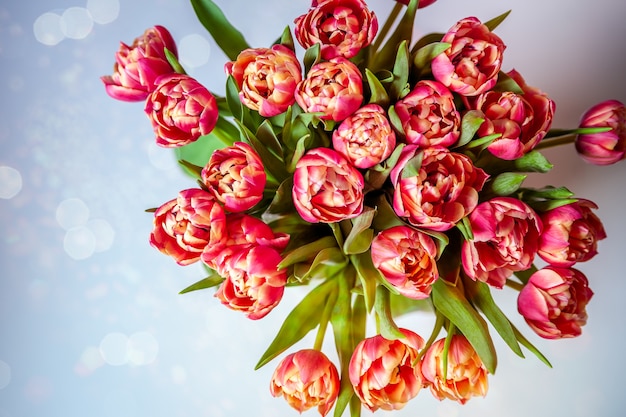 Bouquet de tulipes sur fond pastel