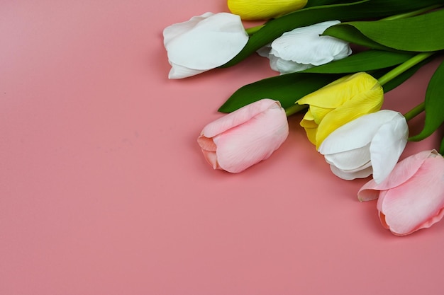 Bouquet de tulipes sur fond rose