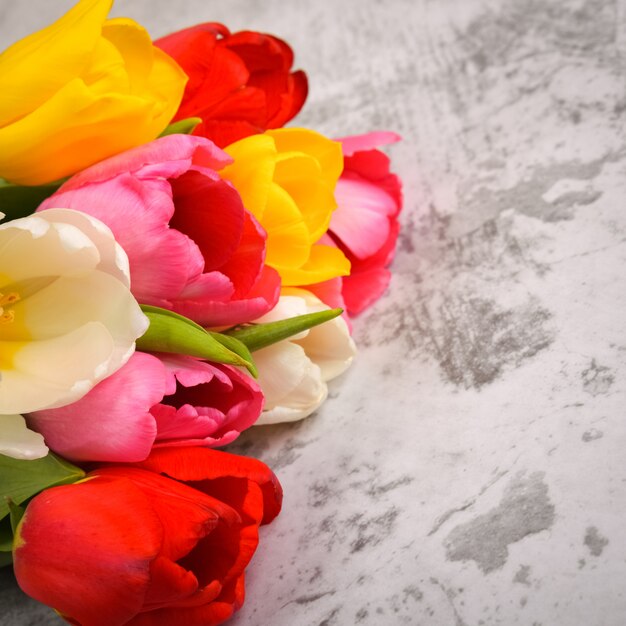 Photo un bouquet de tulipes fraîches sur fond gris clair