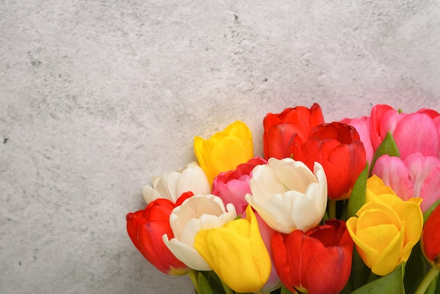 Un bouquet de tulipes fraîches, lumineuses et multicolores sur fond gris clair.