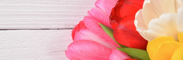 Un bouquet de tulipes fraîches, lumineuses et multicolores sur des planches en bois blanches.