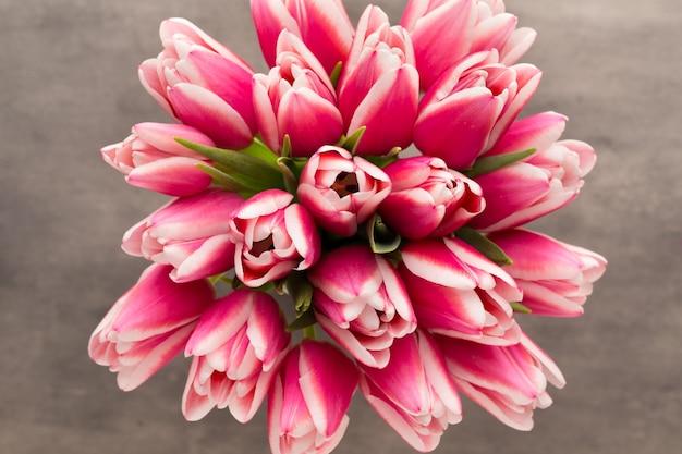 Bouquet de tulipes sur le gris