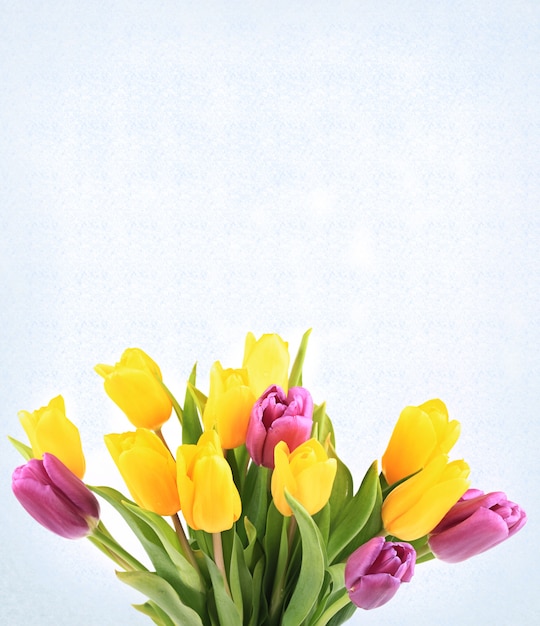 Bouquet de tulipes isolé sur fond blanc