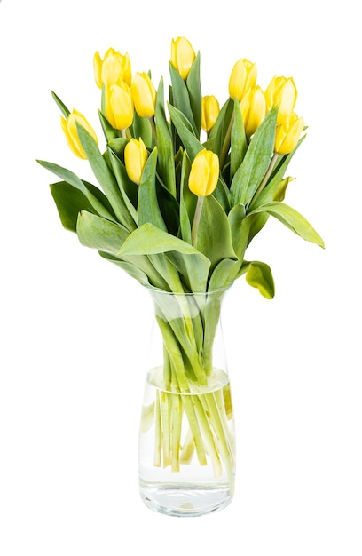 Bouquet de tulipes jaunes dans un vase en verre isolé