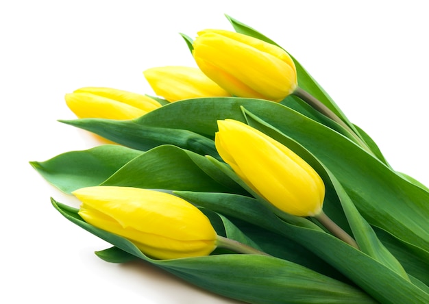 Bouquet de tulipes jaunes, espace copie.
