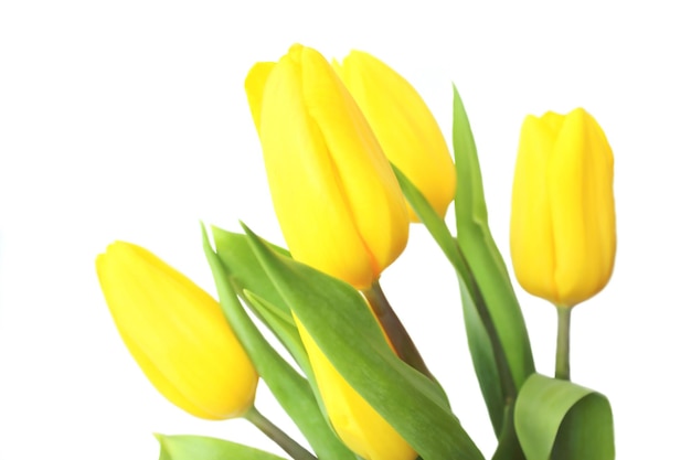 Un bouquet de tulipes jaunes avec des feuilles vertes isolé sur fond blanc