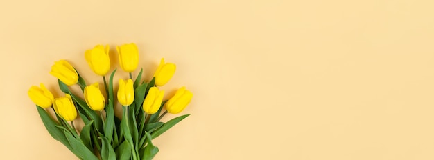 Bouquet de tulipes jaunes sur fond beige avec espace copie.