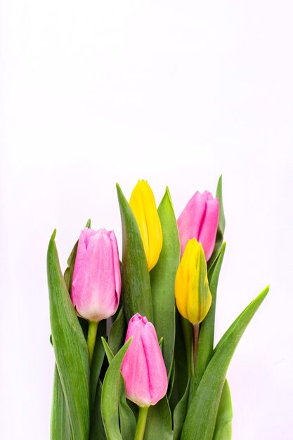 Bouquet de tulipes jaunes et roses isolés sur fond blanc avec un tracé de détourage. Contexte de la Saint-Valentin et de la fête des mères. Vue de dessus.