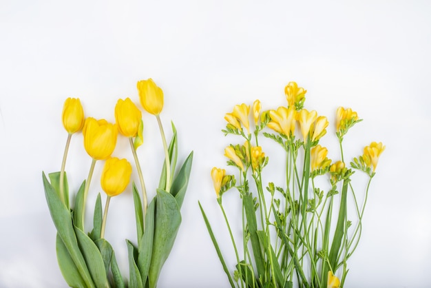 Bouquet de tulipes magnifiques et de tendre freesias gras, isolés