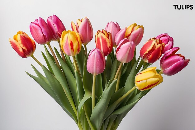 Un bouquet de tulipes avec le mot tulipes sur le fond