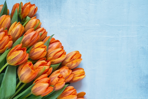 Bouquet de tulipes orange sur fond bleu.