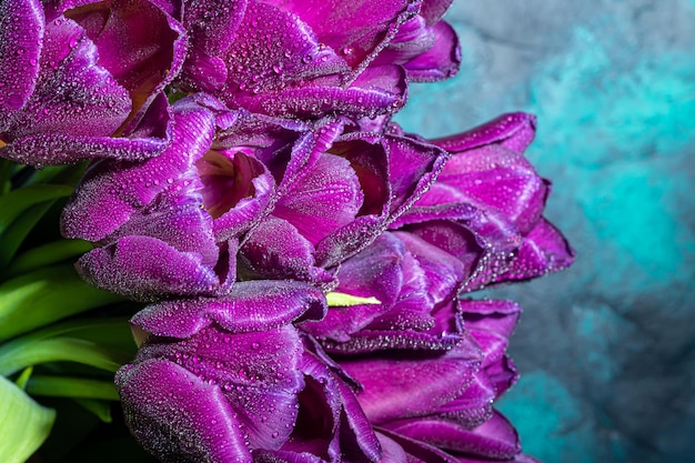 Bouquet de tulipes pour la fête de la femme Saint Valentin fête du nom Sur un fond sombre avec réflexion