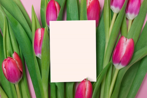 Bouquet de tulipes pourpres et carte de voeux vierge sur fond rose pour la fête des mères